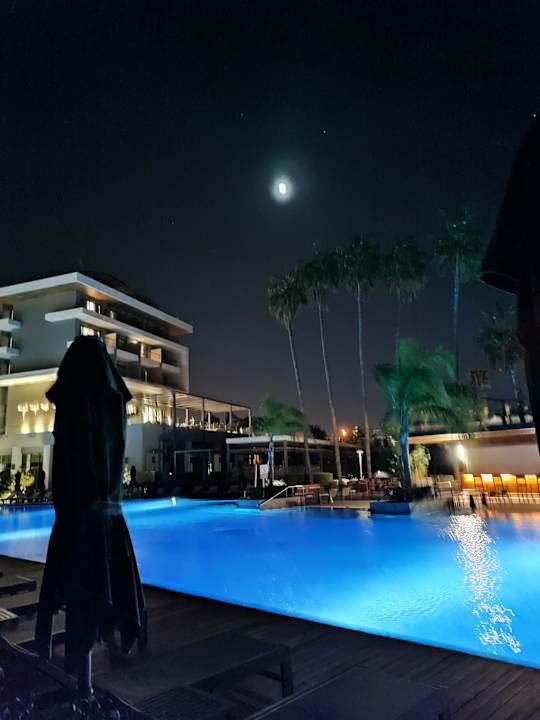 Pool Acanthus Cennet Barut Collection