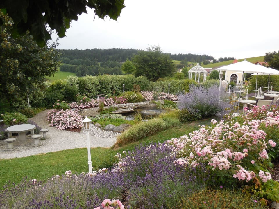 Blick von der Terrasse Bergergut - Das Genießerhotel für Paare