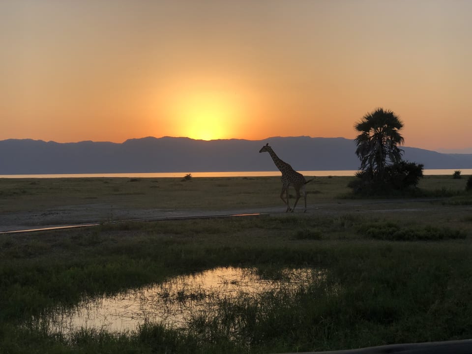 Pool Maramboi Tented Camp