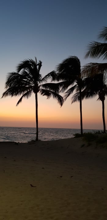 Ausblick Grand Paradise Playa Dorada