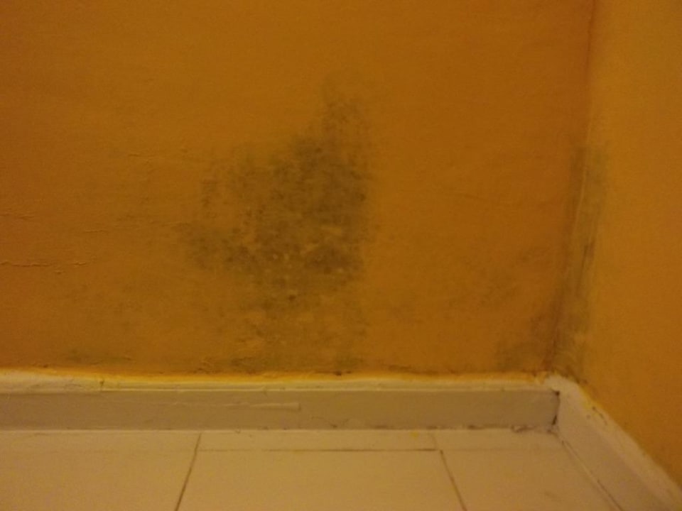 Schimmel im Esszimmer Hotel Atlantis Las Lomas