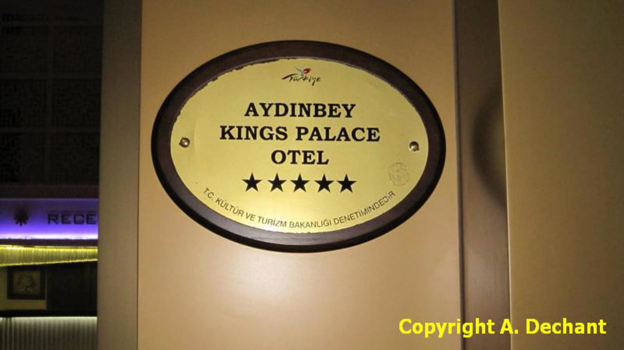 Das Hotel Aydinbey Kings Palace & Spa