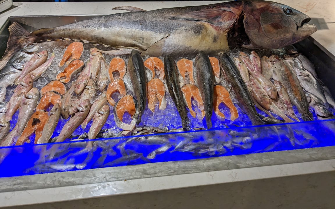 Gastro PALOMA Perissia