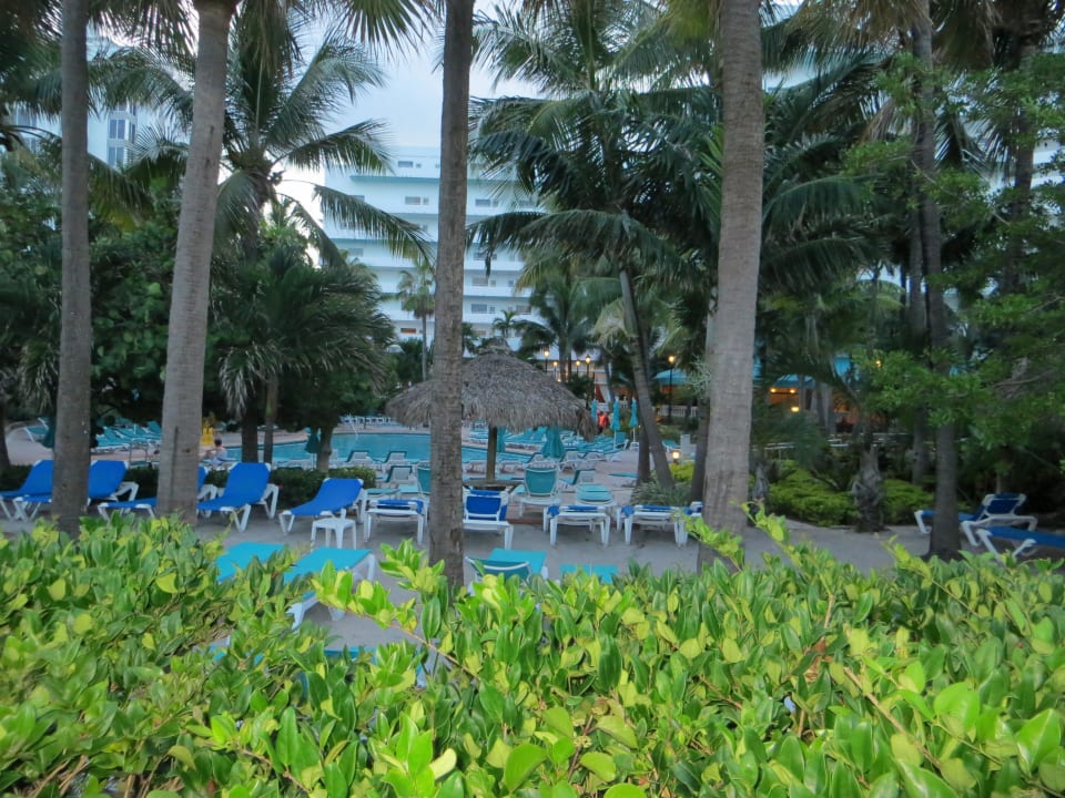 Blick vom Steg auf Hotelanlage Hotel Riu Plaza Miami Beach
