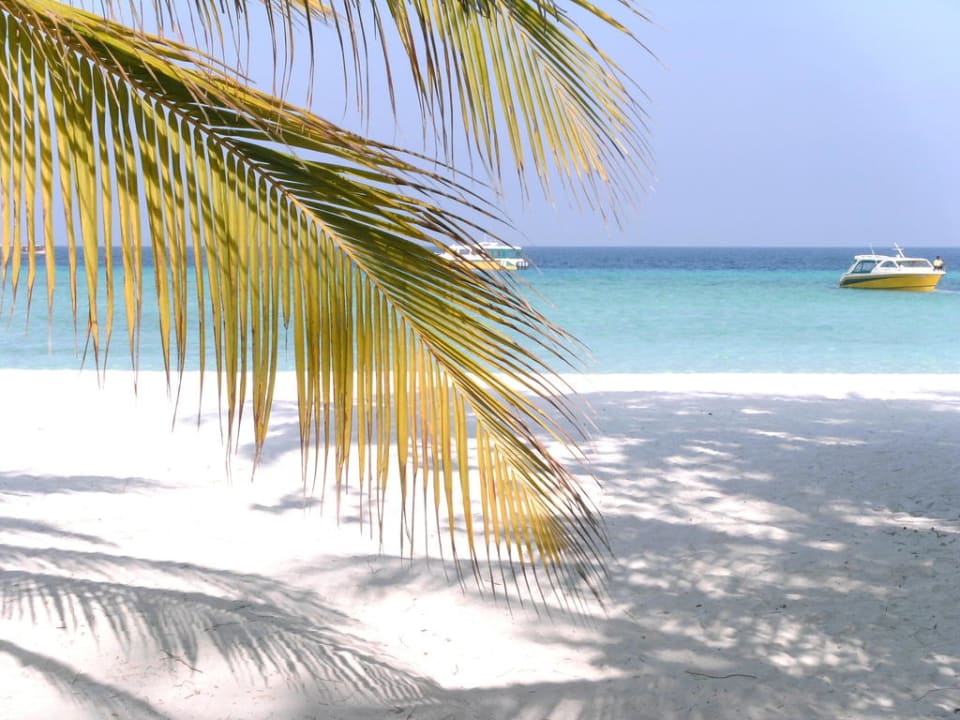 Platz zum Träumen Summer Island Maldives