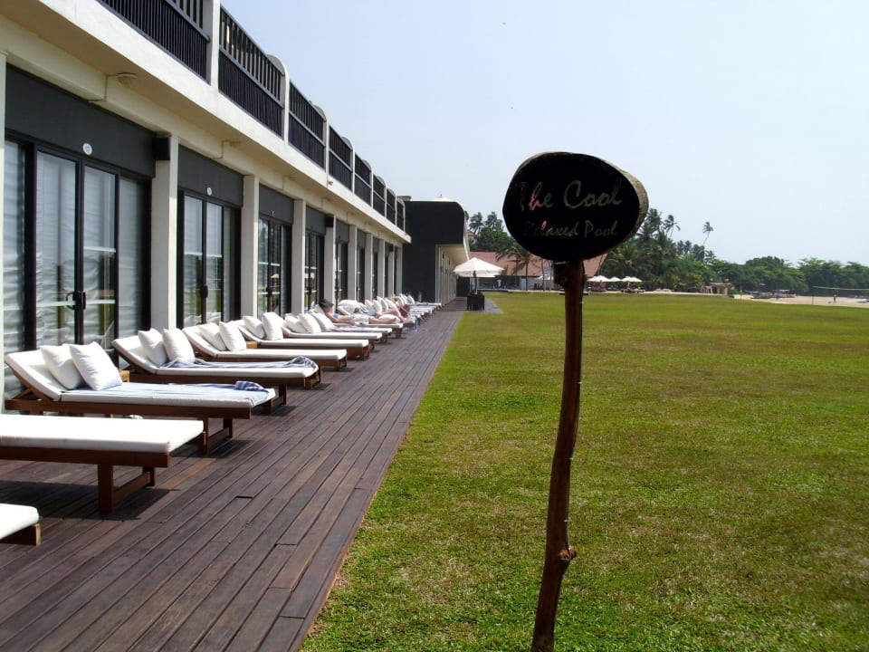 Superior-Zimmer EKHO Surf