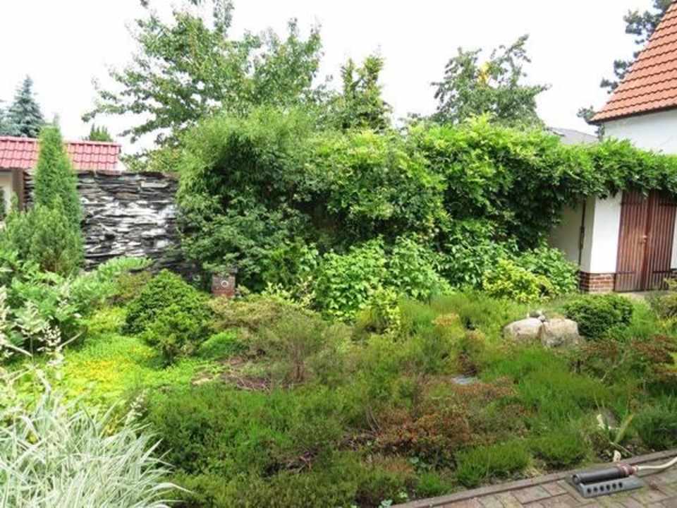 Heidegarten vor dem Ferienhaus Ferienwohnung Genetzkie