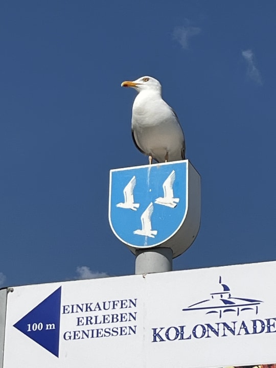 Sonstiges Hotel garni Esplanade