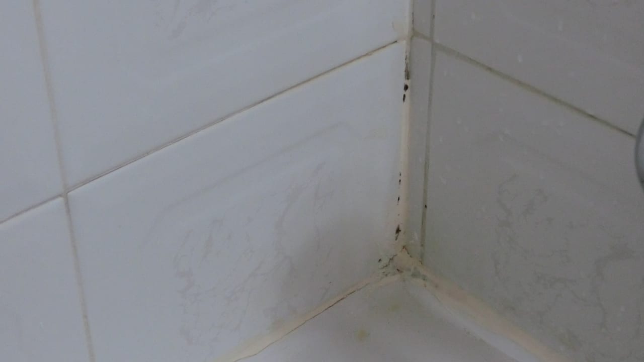 Zimmer Ereza Apartamentos Los Hibiscos- Adults Only