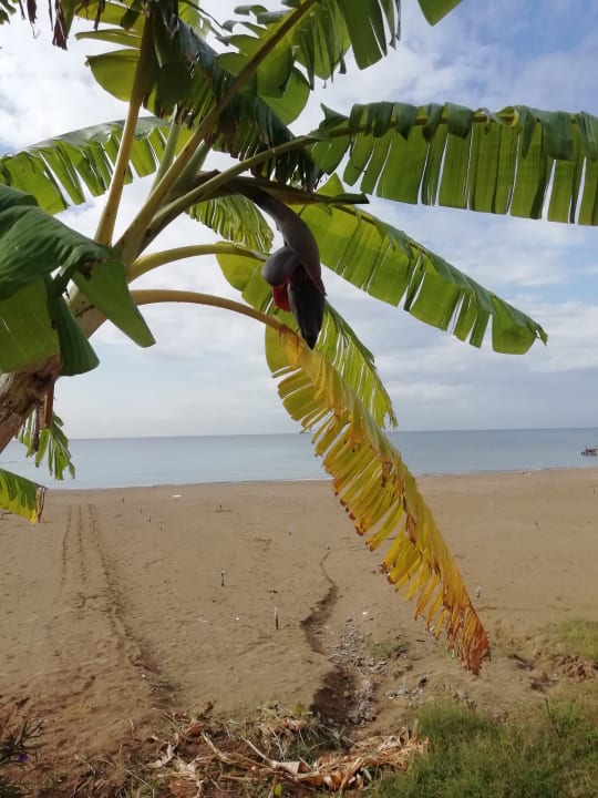 Strand Seaden Quality Resort & Spa