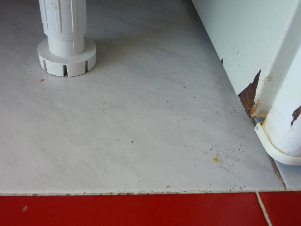 Boden nach Reinigung Hotel Europalace