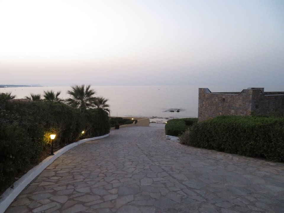 Gartenanlage Alexander Beach Hotel & Village Resort