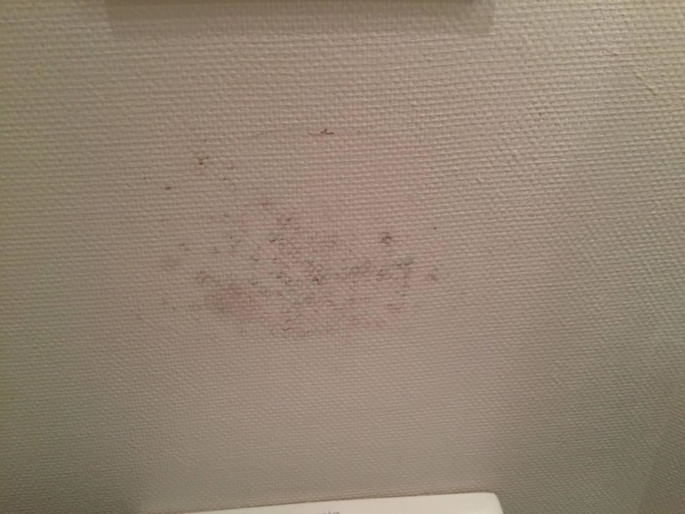 Schimmel an der Wand Novasol Ferienhäuser