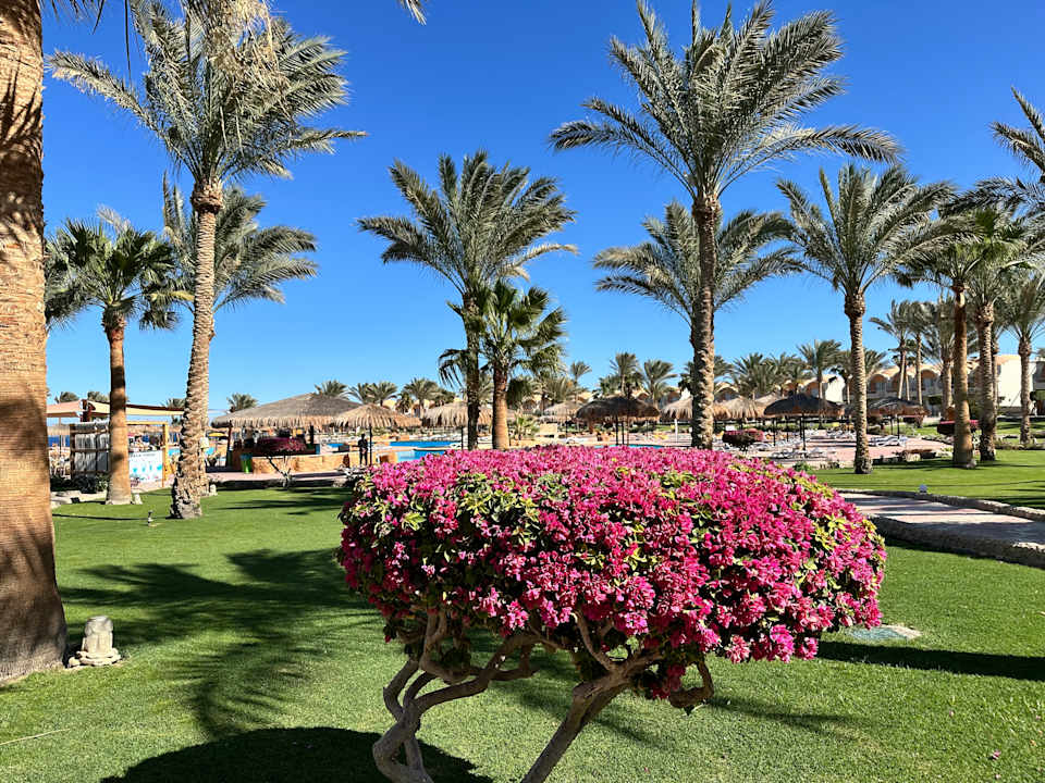 Sonstiges Three Corners Sea Beach Resort