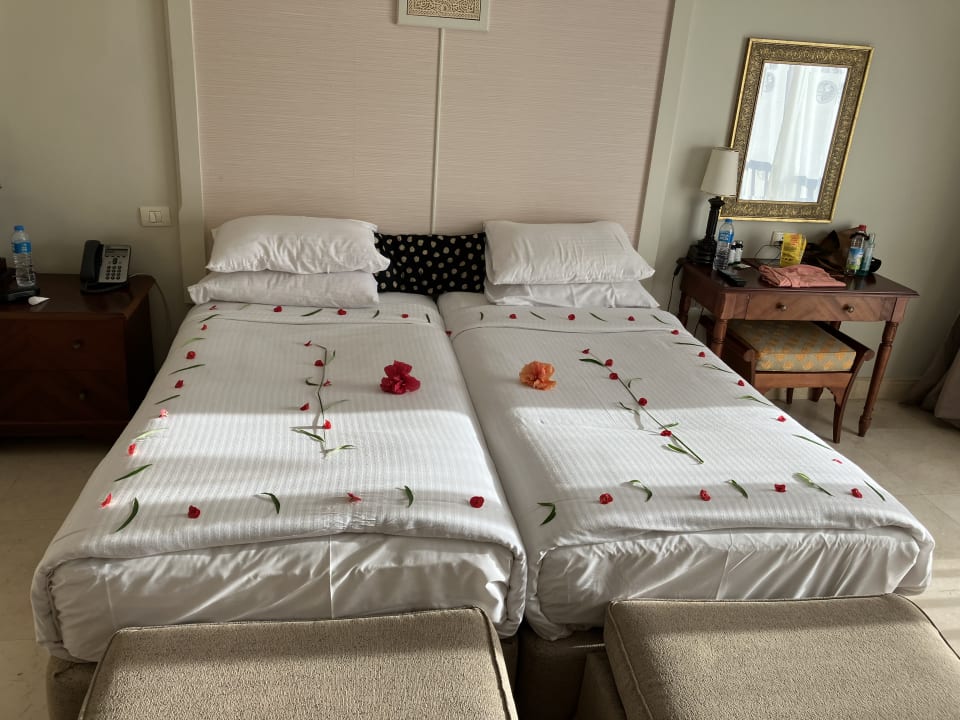 Zimmer Pickalbatros Palace Hotel-Port Ghalib