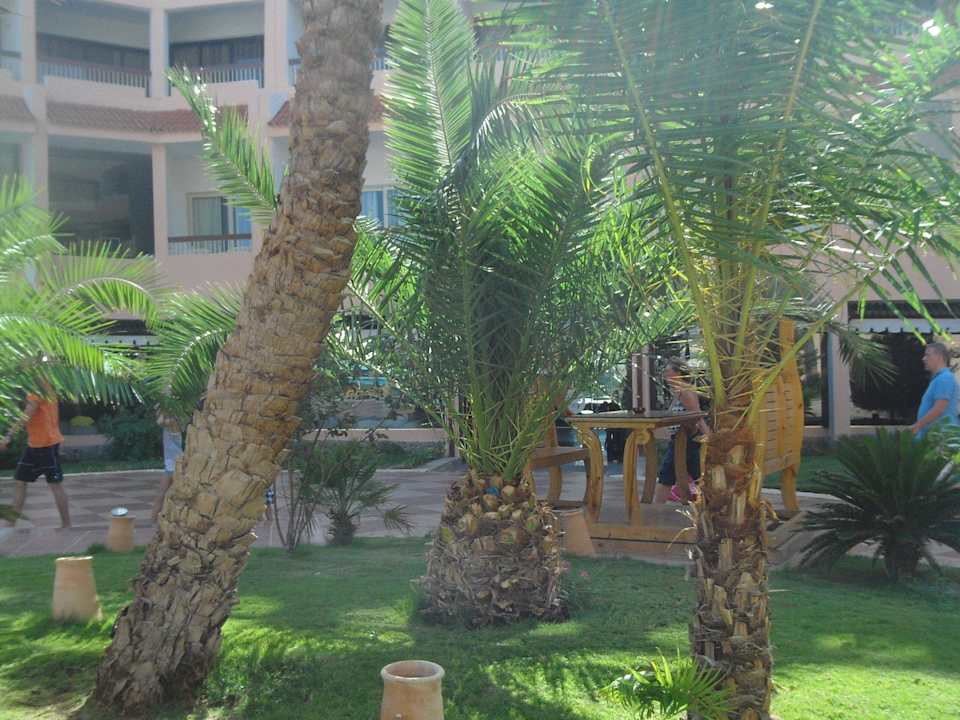 Blick zum Kaffee Beach Albatros Resort