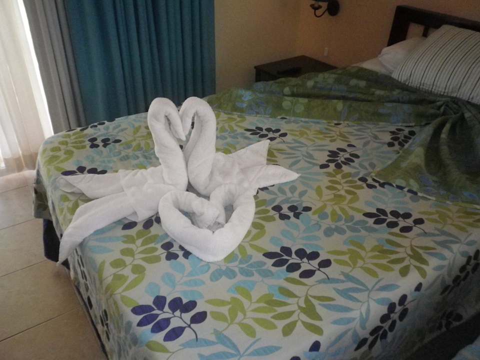 Schwäne statt putzen Sol Hicacos Varadero