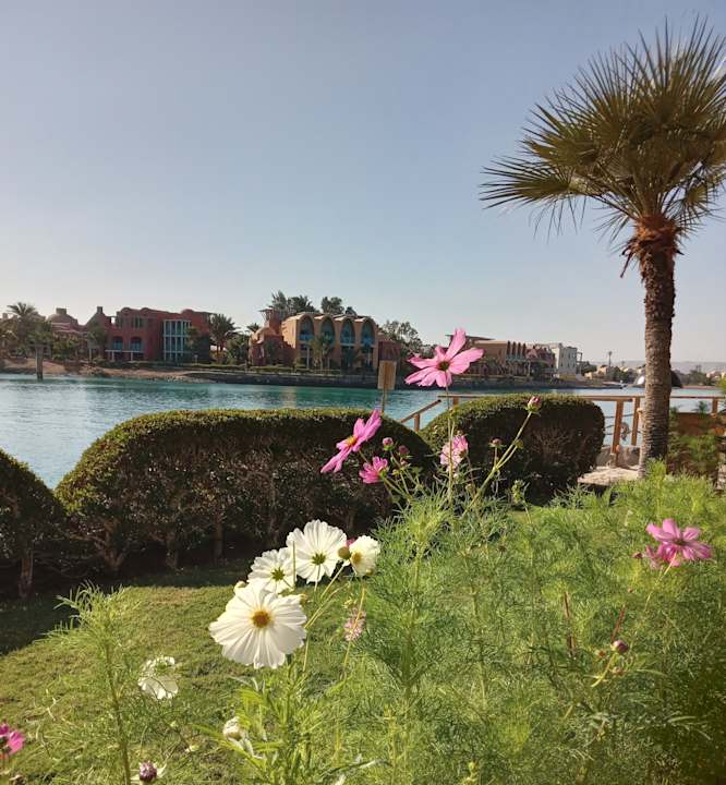 Gartenanlage Hotel Three Corners Ocean View prestige - Adults only