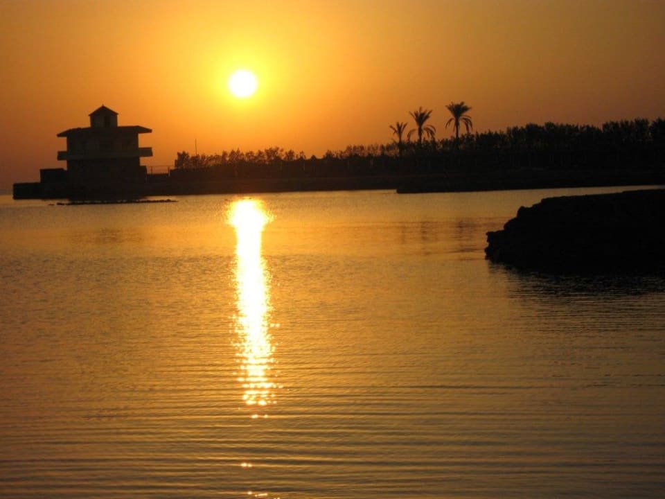 Восход солнца Desert Rose