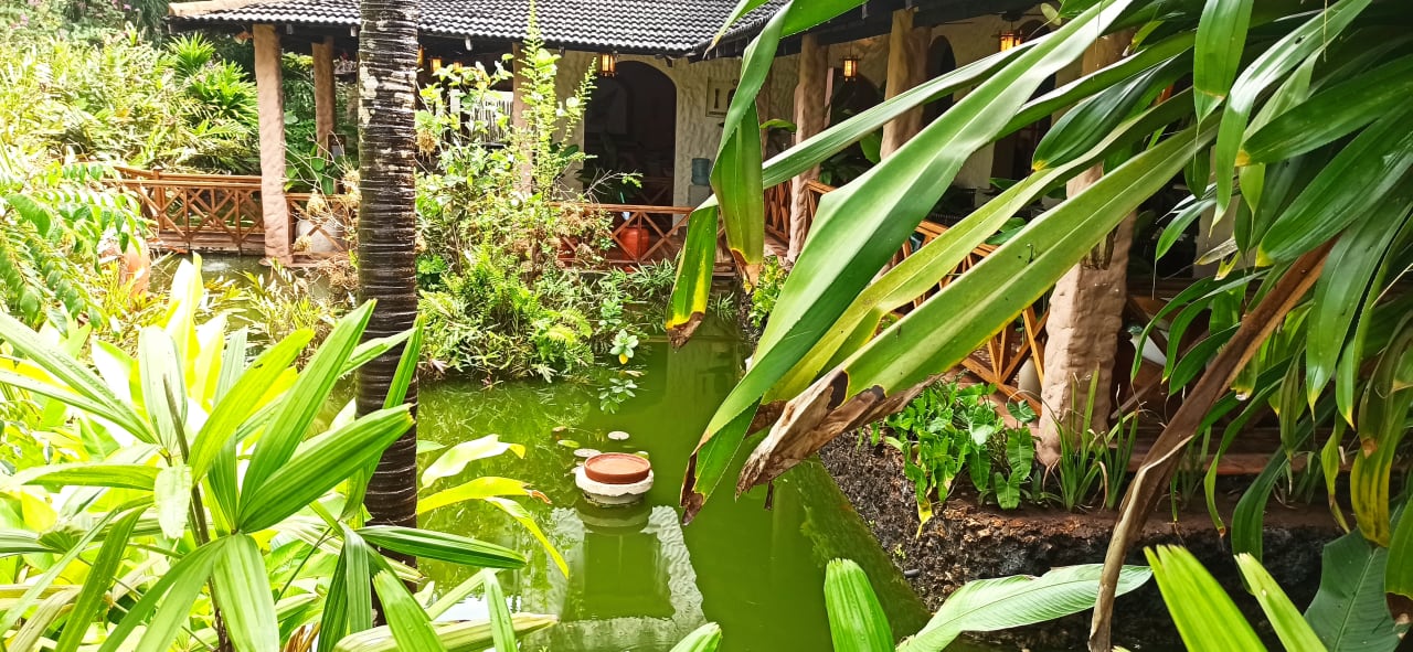 Gartenanlage Hotel Pinewood Beach Resort & Spa