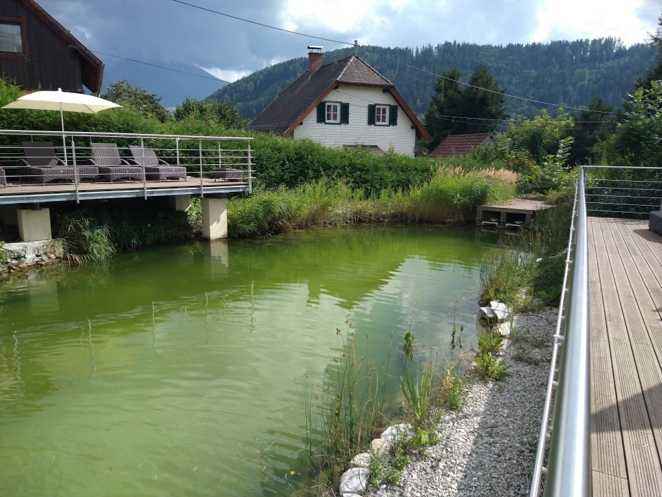 Pool Dilly - Das Nationalpark Resort