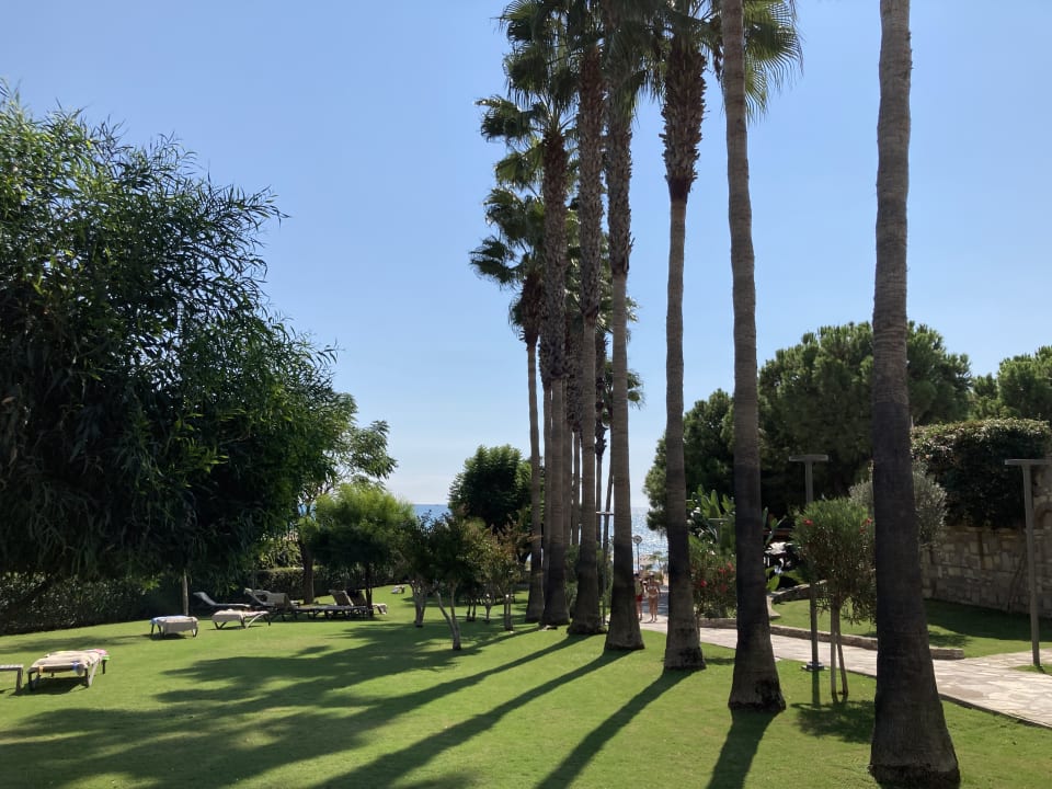 Gartenanlage Arum Barut Collection