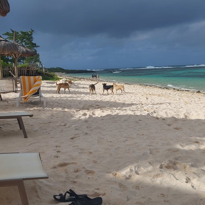 Strand Friday Attitude