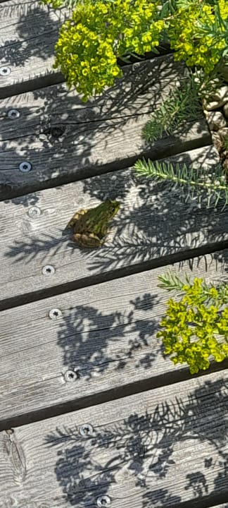 Gartenanlage Der Birkenhof - Spa & Genuss Resort