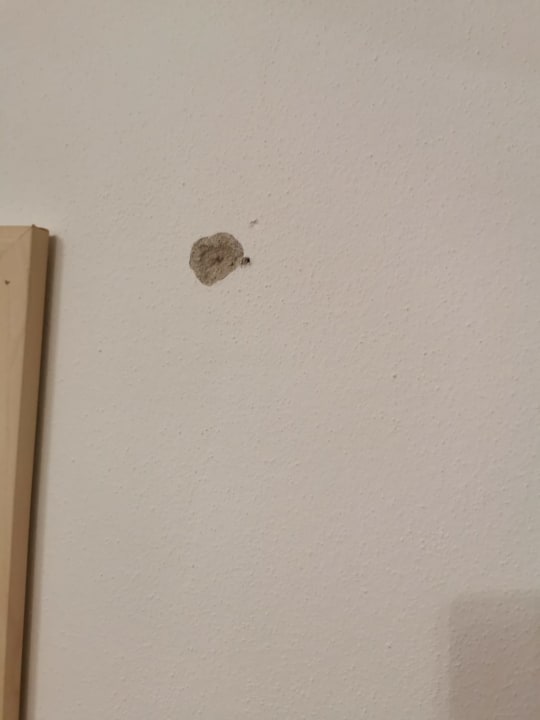 Zimmer Novasol Ferienhäuser Pula