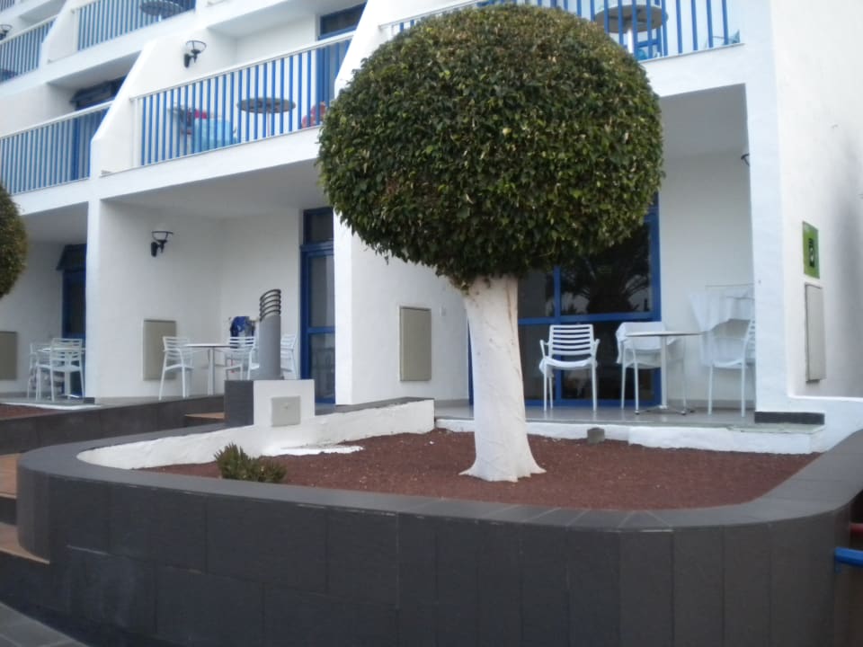 Außenansicht Ereza Apartamentos Los Hibiscos- Adults Only