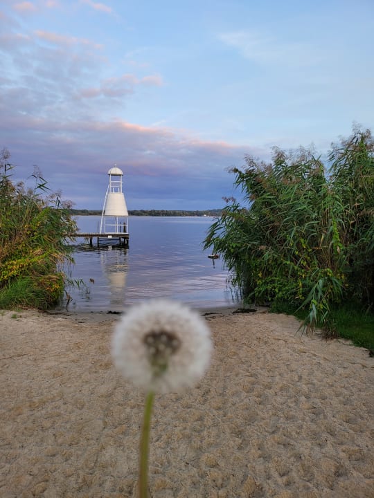 Strand Precise Resort Schwielowsee