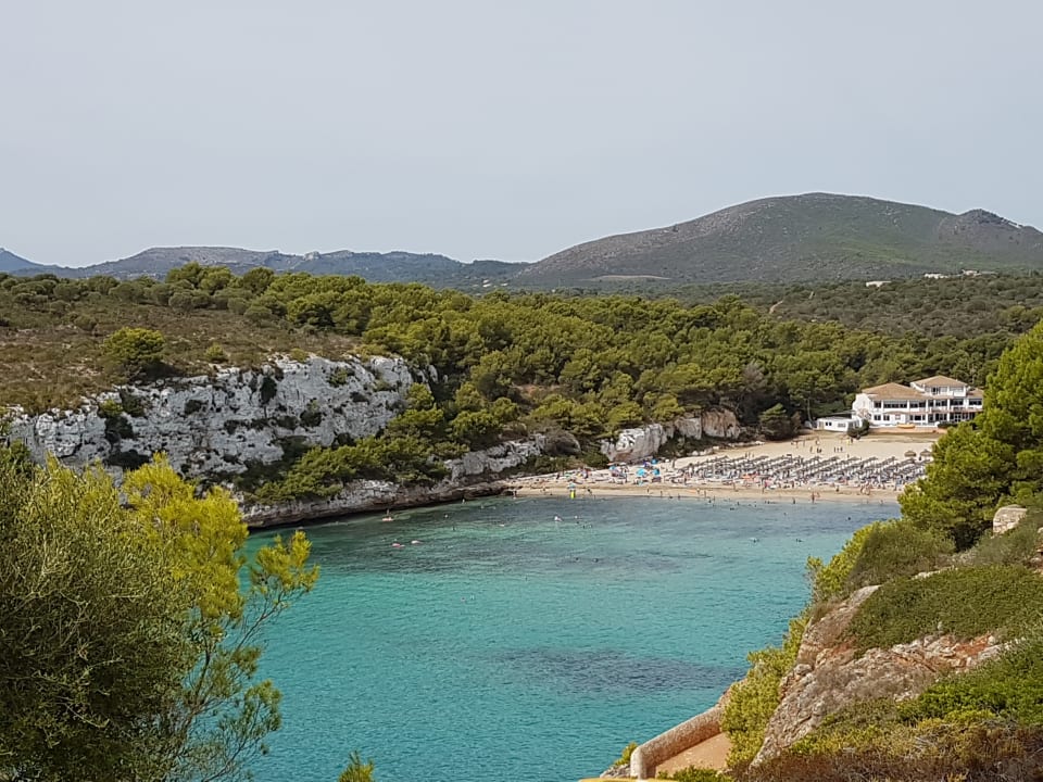 Zimmer blau punta reina