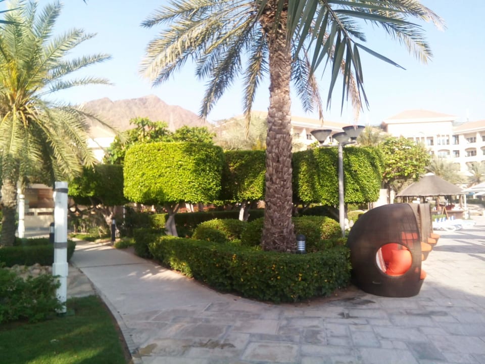 Gartenanlage Fujairah Rotana Resort & Spa
