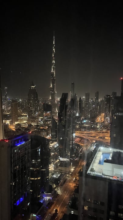 Ausblick Rose Rayhaan by Rotana