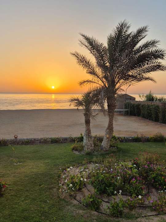 Strand Coral Sun Beach