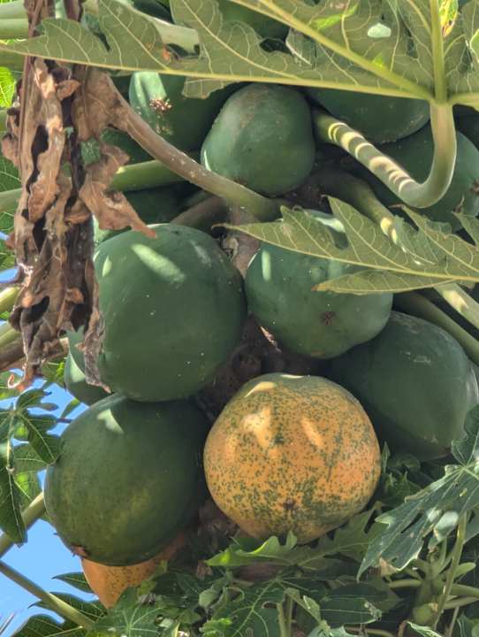 Sport & Freizeit Marina Playa Suite Hotel