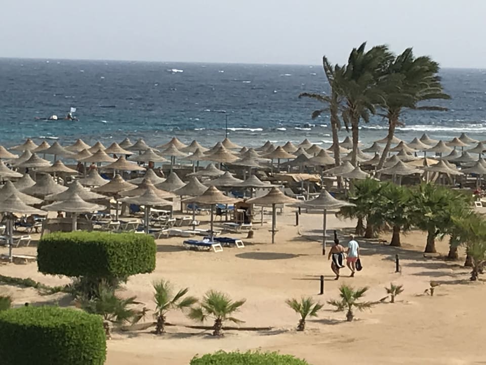 Strand Malikia Resort Abu Dabbab