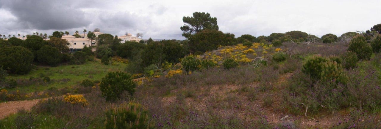 Blick auf die Hotelanlage AP Adriana Beach Resort