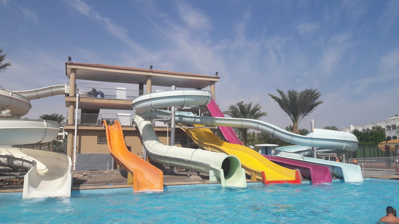 Sport & Freizeit Desert Rose