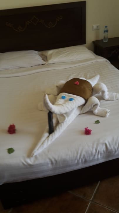 Zimmer Three Corners Sea Beach Resort