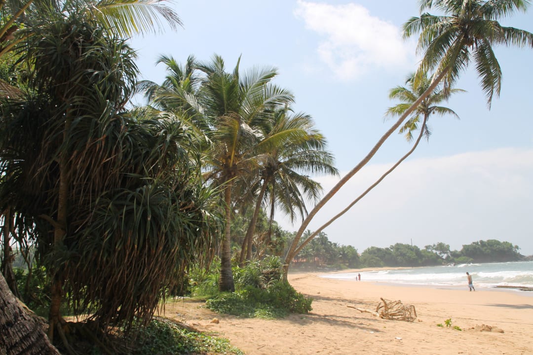 Strand Hotel Lanka Princess Ayurveda