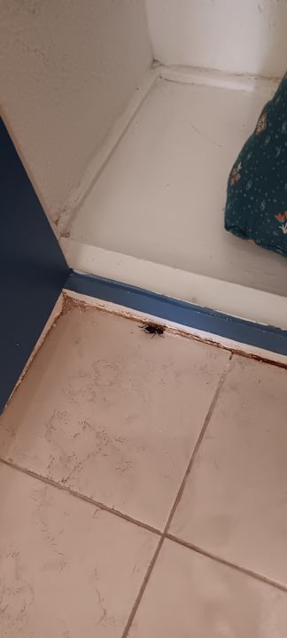 Sonstiges Eagles Paradise Abu Soma