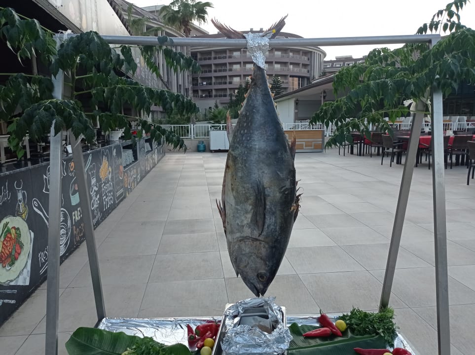 Gastro Asteria Family Resort Side