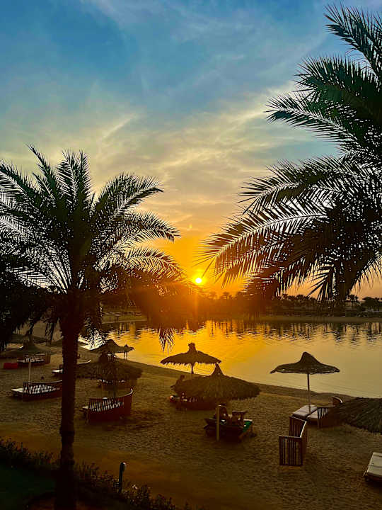 Außenansicht Desert Rose
