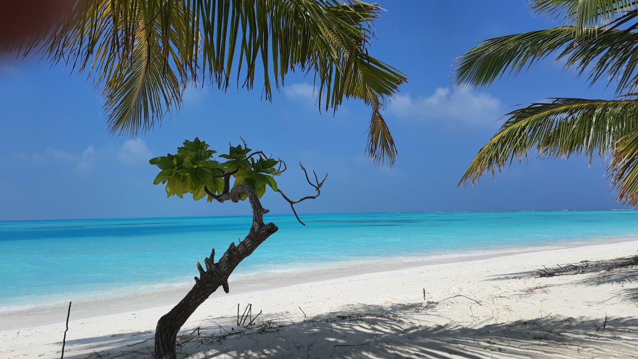 Strand Meeru Maldives Resort Island