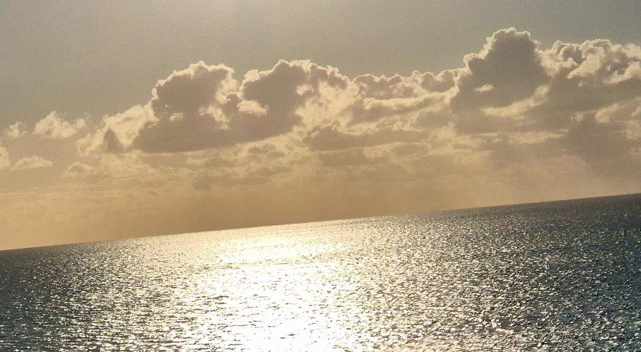 Ausblick Hipotels Gran Playa De Palma