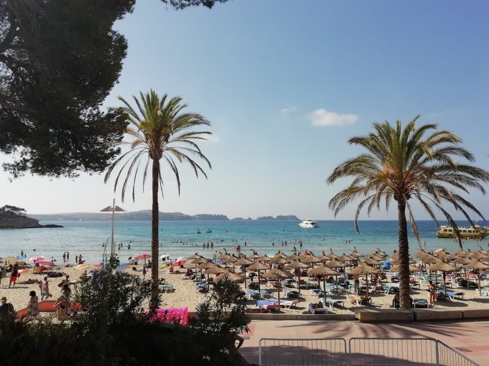 Strand Hotel Aparthotel Paguera Beach