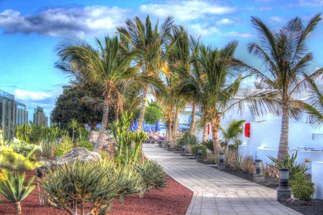 Gepflegter Garten Hotel Las Costas