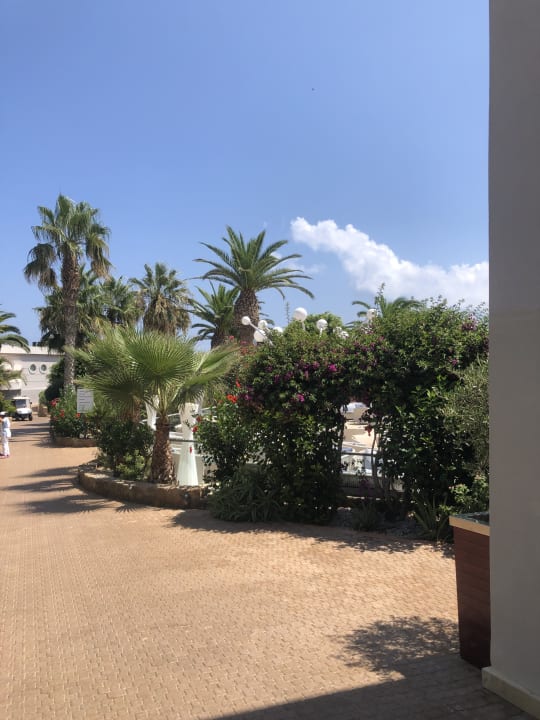 Gartenanlage Lyttos Beach Hotel