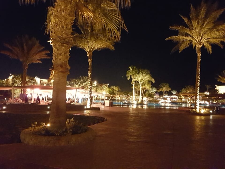 Außenansicht Desert Rose